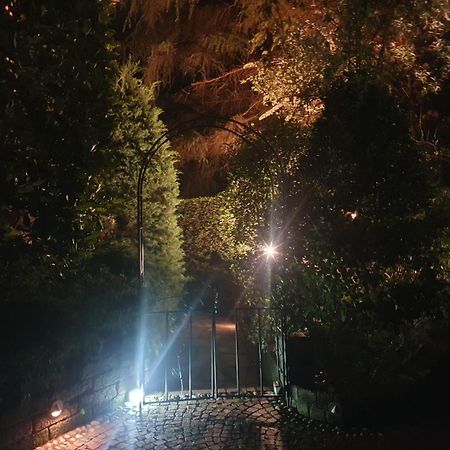 Rose'S Garden - Zona Tranquilla - Vicino Torino Daire Pino Torinese Dış mekan fotoğraf