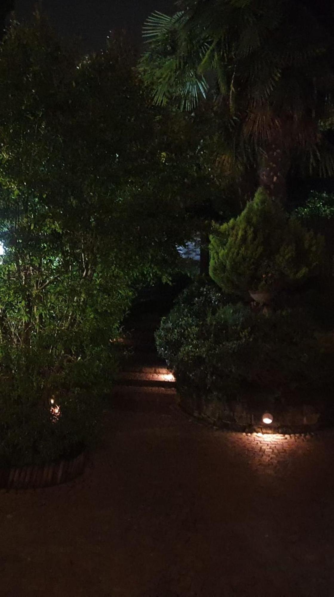 Rose'S Garden - Zona Tranquilla - Vicino Torino Daire Pino Torinese Dış mekan fotoğraf