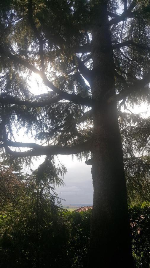 Rose'S Garden - Zona Tranquilla - Vicino Torino Daire Pino Torinese Dış mekan fotoğraf